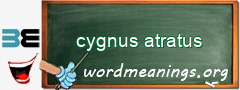 WordMeaning blackboard for cygnus atratus